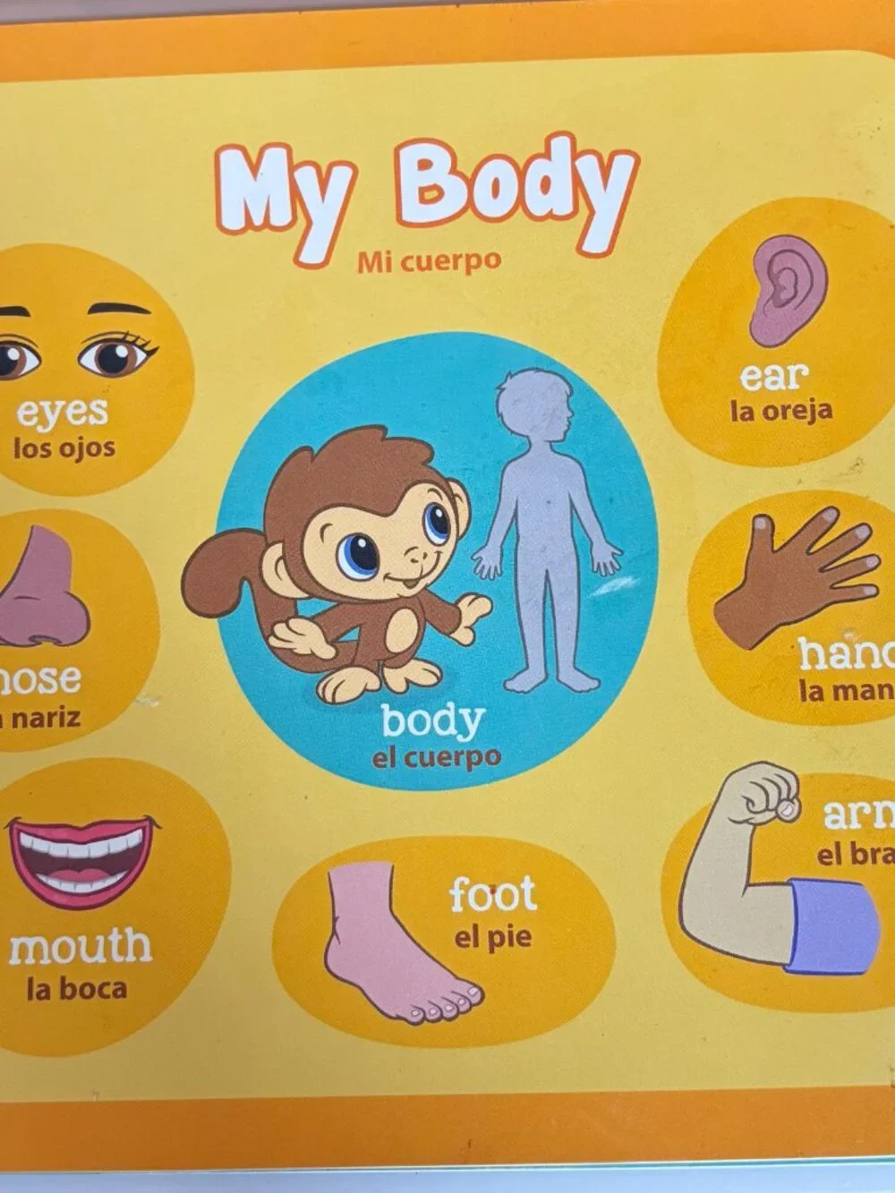 LeapFrog Learning Friends 100 Words Book Educational Bilingual English Spanish